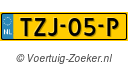 TZJ-05-P
