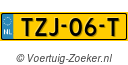 TZJ-06-T