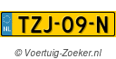 TZJ-09-N