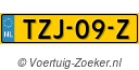 TZJ09Z
