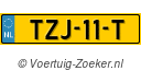 TZJ11T