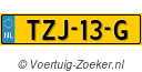 TZJ13G