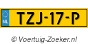 TZJ17P