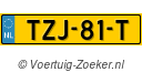 TZJ81T