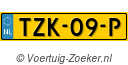TZK09P