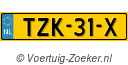 TZK31X
