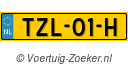 TZL01H