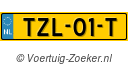 TZL01T