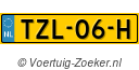 TZL-06-H