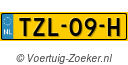 TZL09H