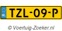 TZL09P