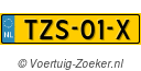 TZS01X