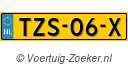 TZS06X