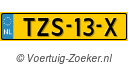 TZS13X