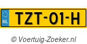 TZT01H