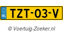 TZT-03-V