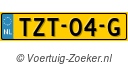 TZT04G