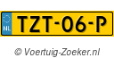 TZT-06-P