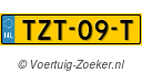 TZT-09-T