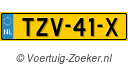 TZV41X