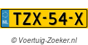TZX54X