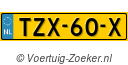 TZX60X