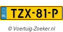 TZX-81-P