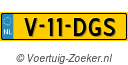 V11DGS