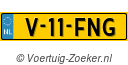 V11FNG