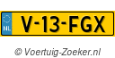 V13FGX