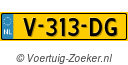 V313DG