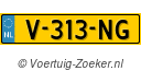 V313NG