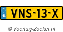 VNS13X