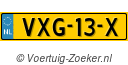 VXG13X