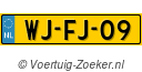 WJFJ09