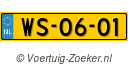 WS-06-01