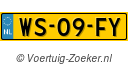 WS09FY