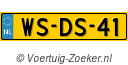 WS-DS-41