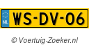 WS-DV-06