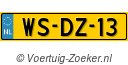 WS-DZ-13