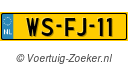 WSFJ11