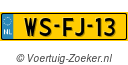 WSFJ13