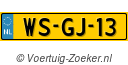 WSGJ13