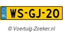 WSGJ20