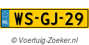 WSGJ29