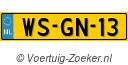 WSGN13