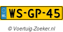 WSGP45
