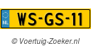 WSGS11