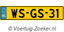 WSGS31
