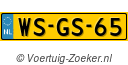 WSGS65